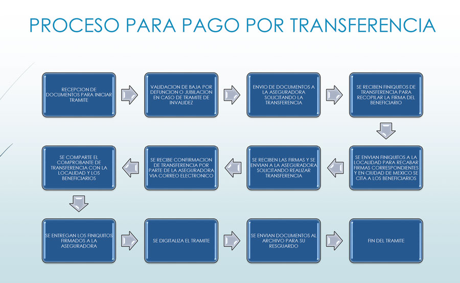 Proceso de pago por transferencia